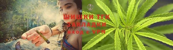 сатива Армянск
