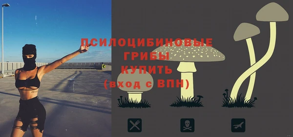 соль ск Арсеньев